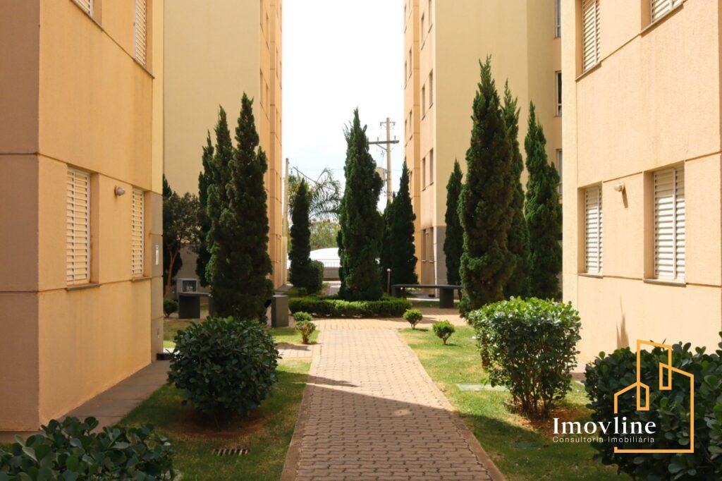 imagem cores da vida