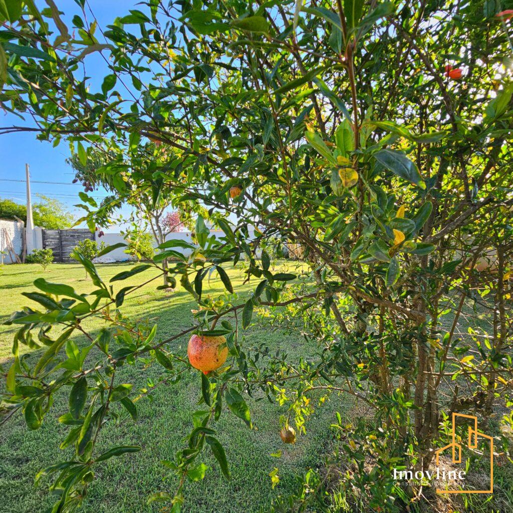 imagem Residencial Ecopark