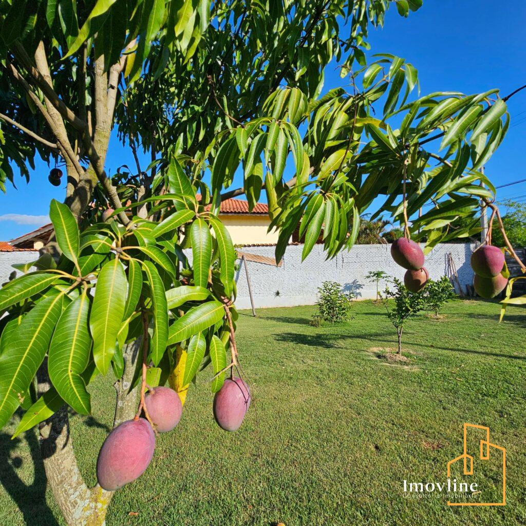 imagem Residencial Ecopark