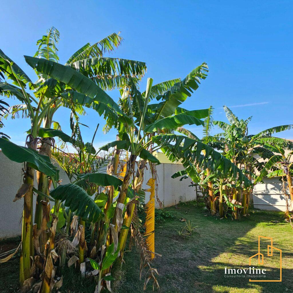 imagem Residencial Ecopark