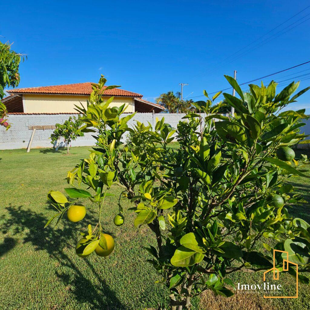 imagem Residencial Ecopark