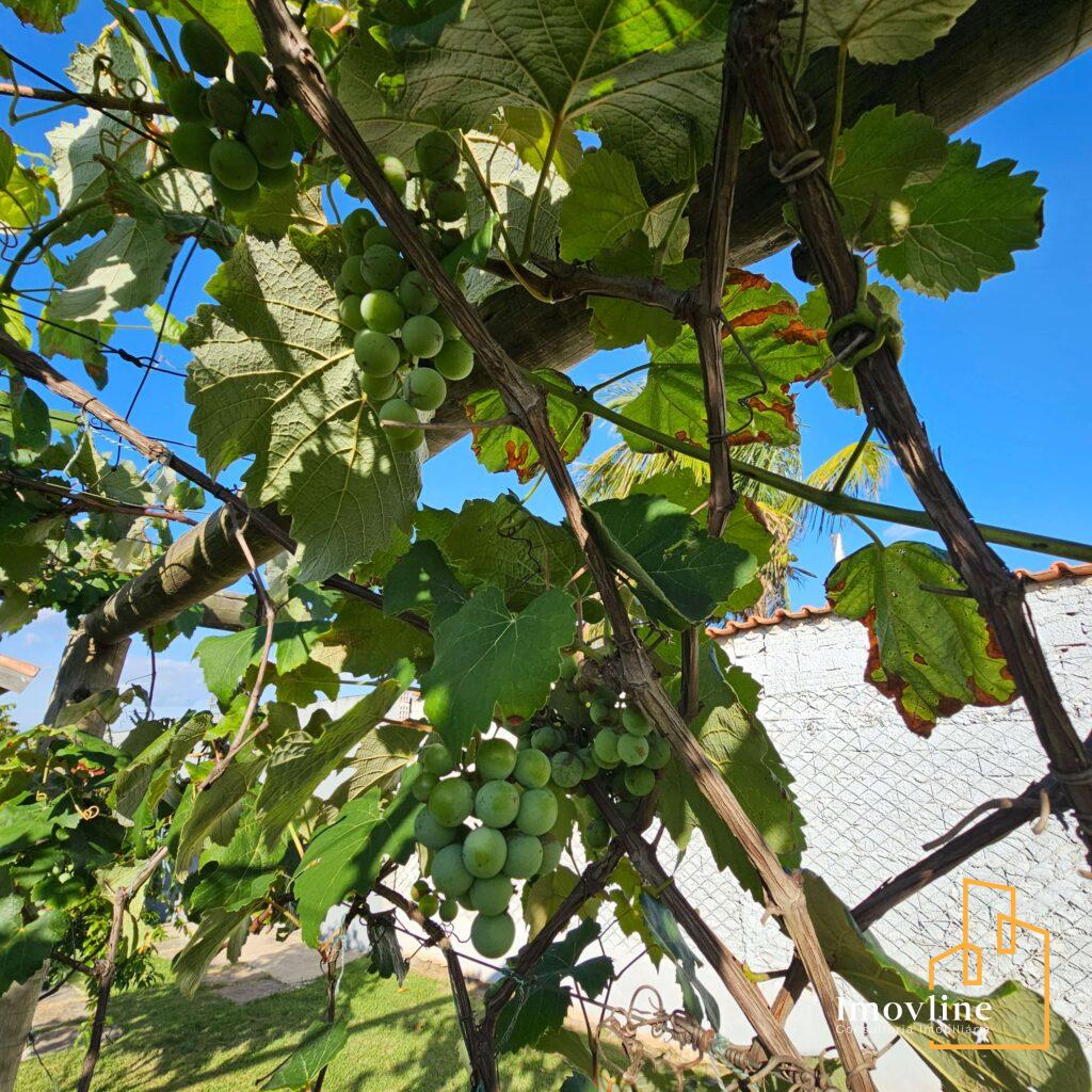 imagem Residencial Ecopark