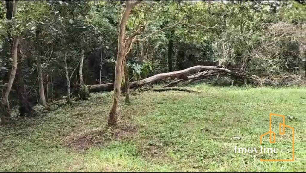 imagem Chácara Guaxingú